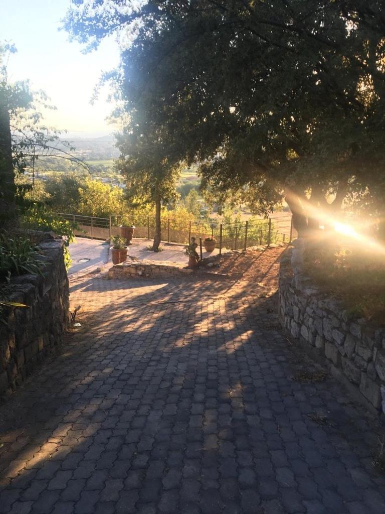 Le Castellas - Gite En Pleine Nature Montmirat Εξωτερικό φωτογραφία