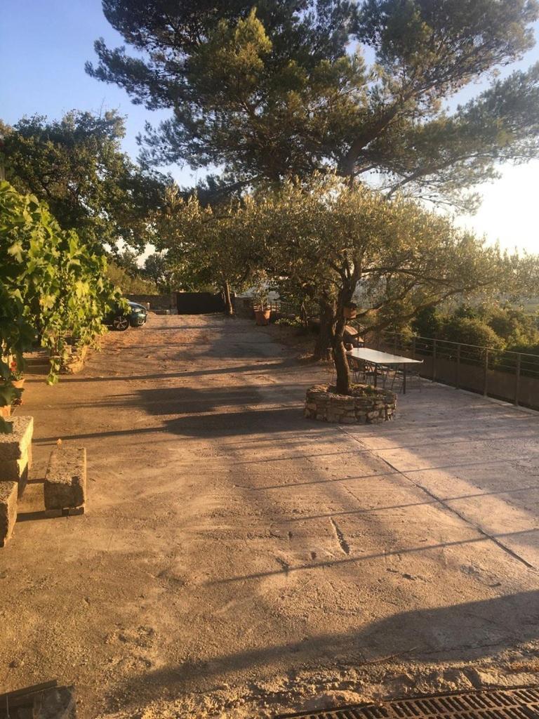 Le Castellas - Gite En Pleine Nature Montmirat Εξωτερικό φωτογραφία