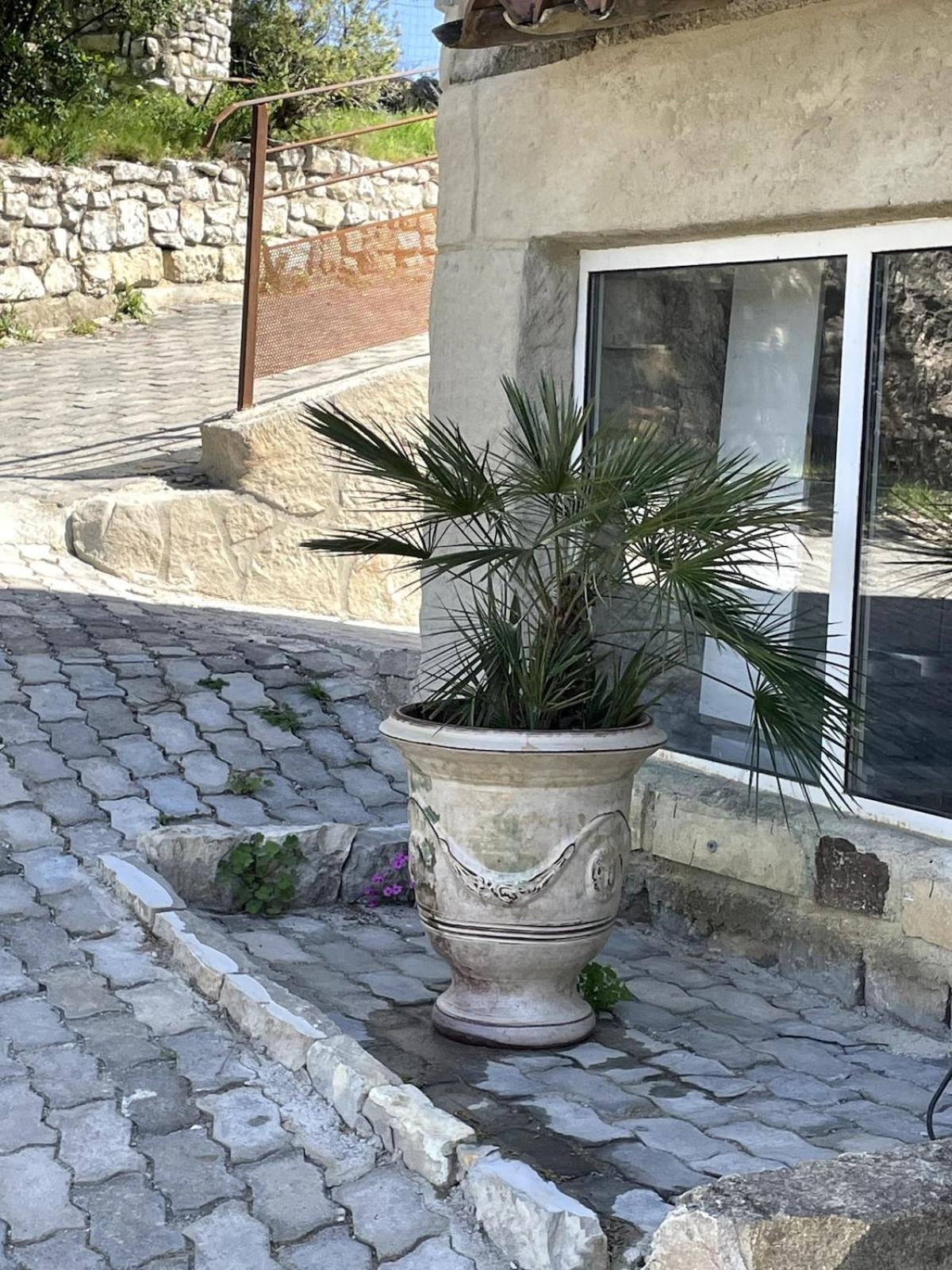 Le Castellas - Gite En Pleine Nature Montmirat Εξωτερικό φωτογραφία