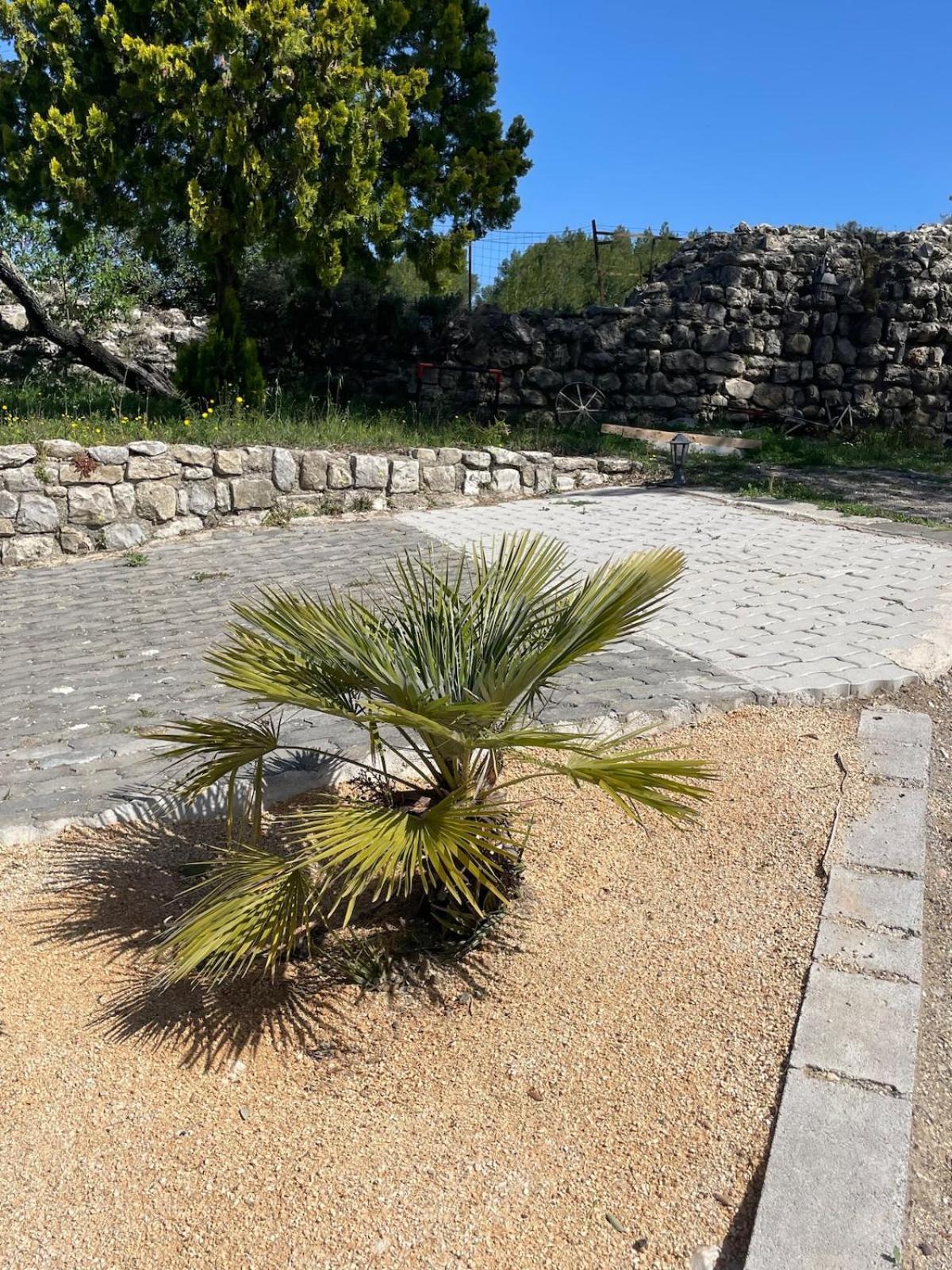 Le Castellas - Gite En Pleine Nature Montmirat Εξωτερικό φωτογραφία