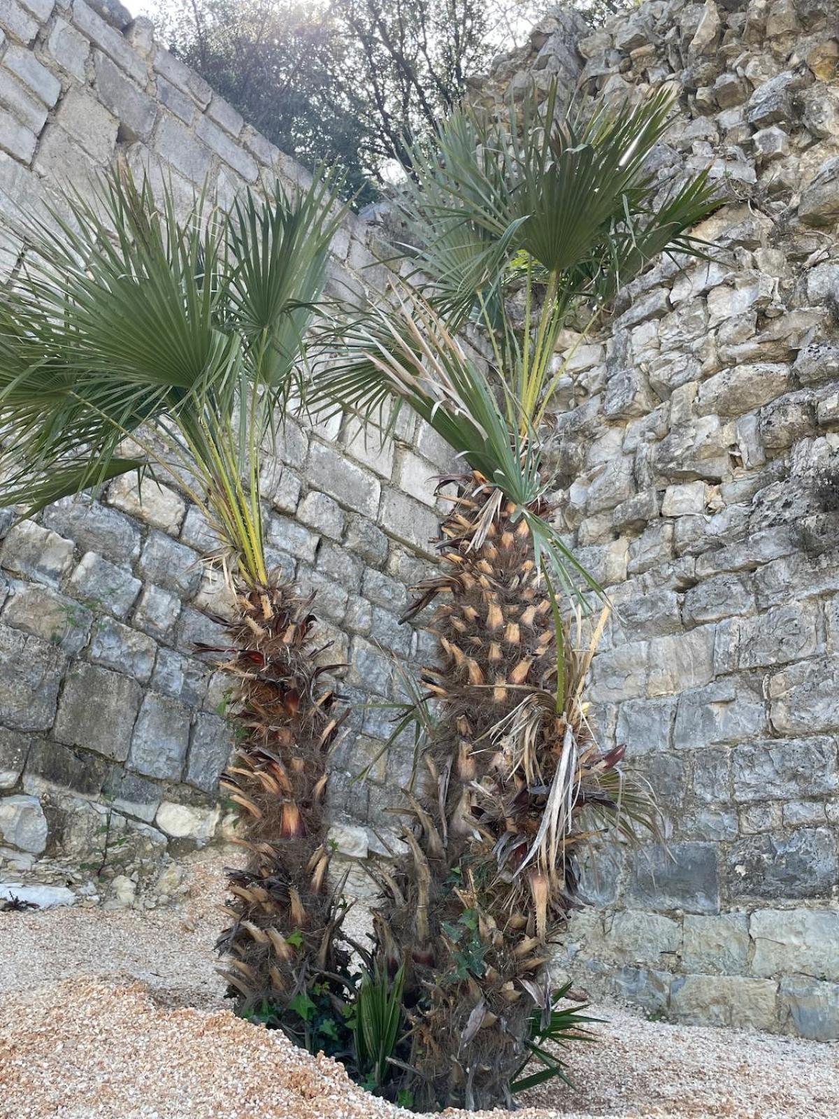 Le Castellas - Gite En Pleine Nature Montmirat Εξωτερικό φωτογραφία