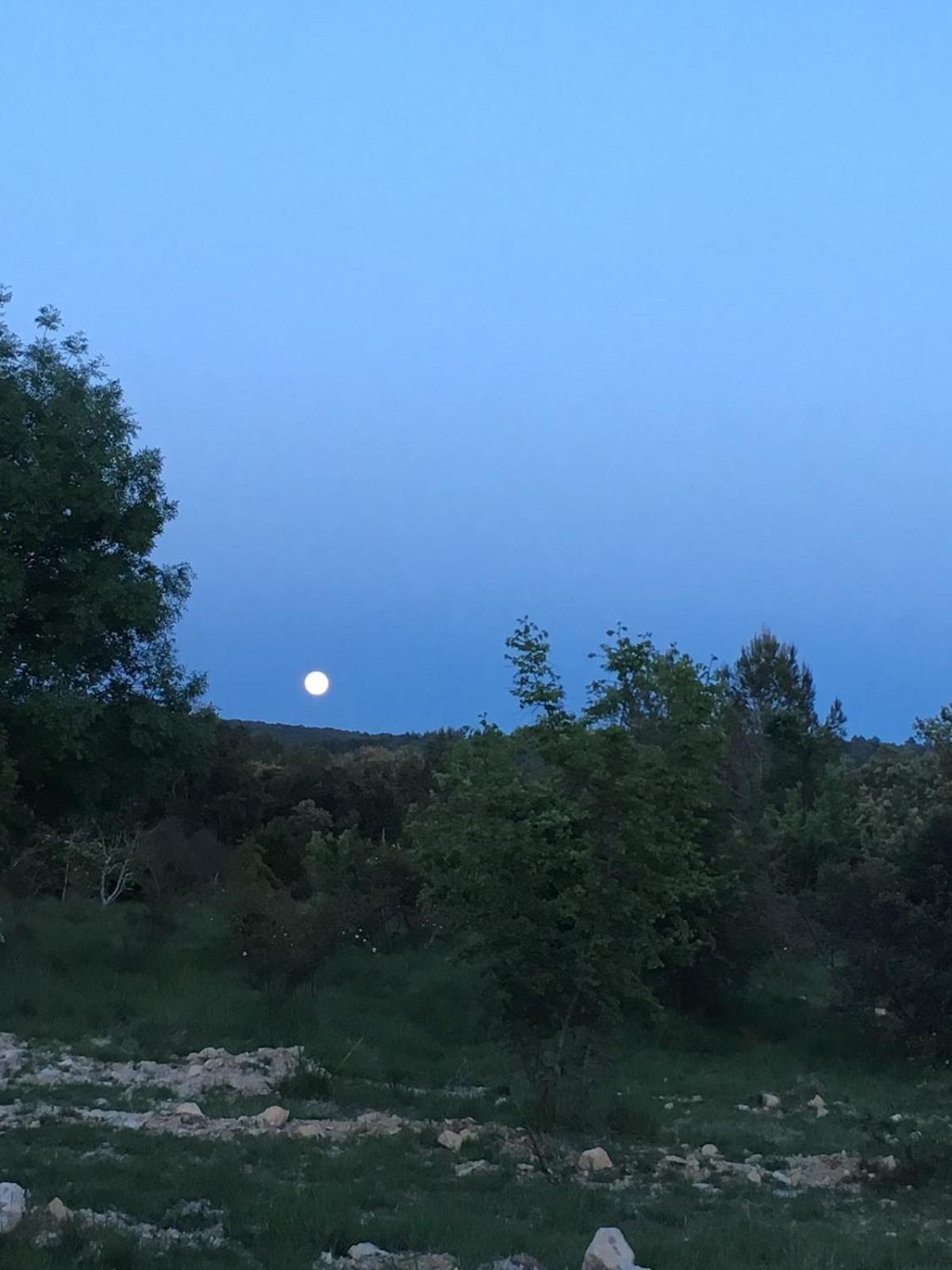 Le Castellas - Gite En Pleine Nature Montmirat Εξωτερικό φωτογραφία